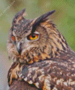 Eagle Owl With Yellow Eyes Diamond Painting