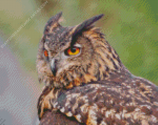 Eagle Owl With Yellow Eyes Diamond Painting