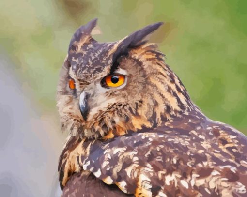 Eagle Owl With Yellow Eyes Diamond Painting