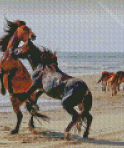 Fighting Horse At The Beach Diamond Painting