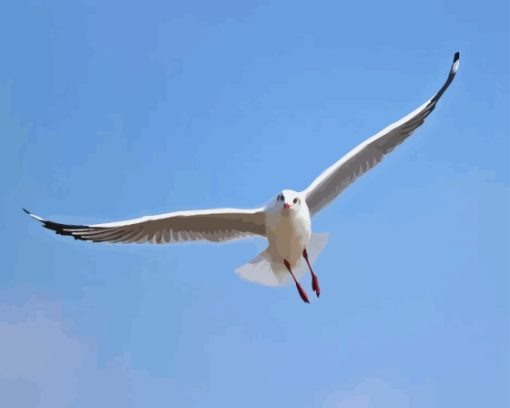 Flying Seagull Diamond Painting