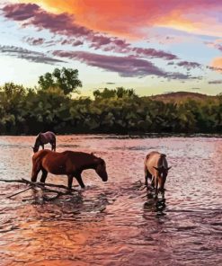 Horses In Arizona Diamond Painting