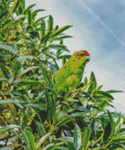 Kakariki With Green Leaves Diamond Painting