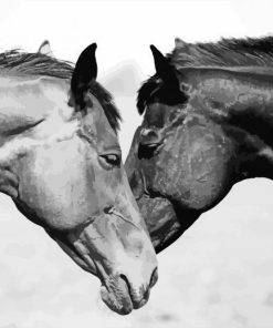 Monochrome Horse Couple Diamond Painting