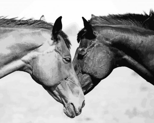 Monochrome Horse Couple Diamond Painting