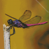 Purple Dragonfly Diamond Painting