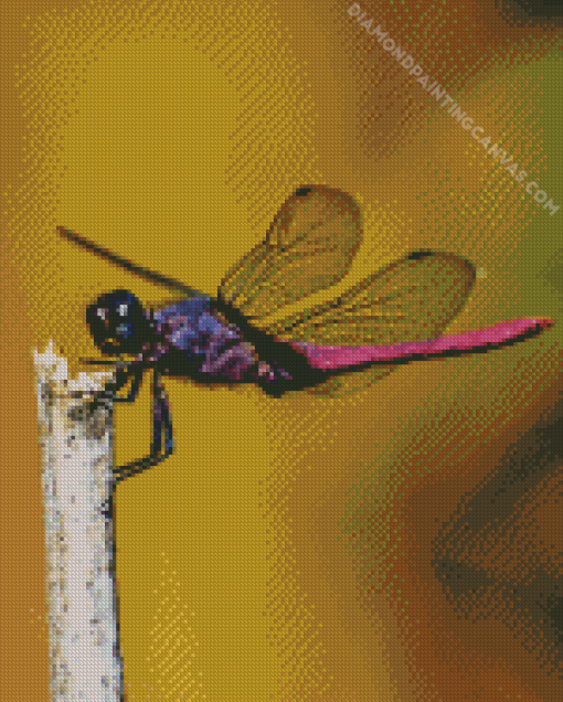 Purple Dragonfly Diamond Painting