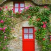 Red Door With Flowers Diamond Painting