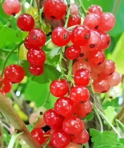 Red Gooseberry Diamond Painting