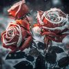 Red Roses In Snow Diamond Painting