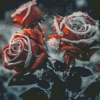 Red Roses In Snow Diamond Painting