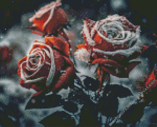 Red Roses In Snow Diamond Painting