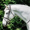 White Horse Head Diamond Painting