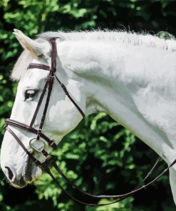 White Horse Head Diamond Painting