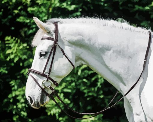 White Horse Head Diamond Painting