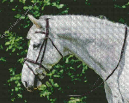 White Horse Head Diamond Painting