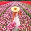 Woman In Field Of Pink Flowers Diamond Painting