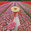 Woman In Field Of Pink Flowers Diamond Painting