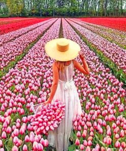 Woman In Field Of Pink Flowers Diamond Painting