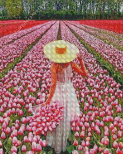 Woman In Field Of Pink Flowers Diamond Painting