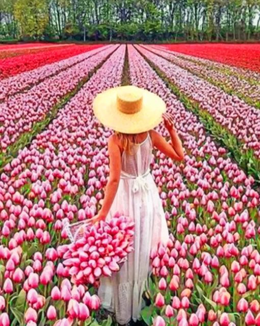 Woman In Field Of Pink Flowers Diamond Painting