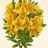 Yellow Azalea Plant Diamond Painting