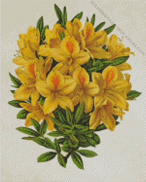 Yellow Azalea Plant Diamond Painting