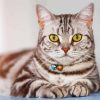 American Shorthair Diamond Painting