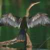 Anhinga With Wings Diamond Painting