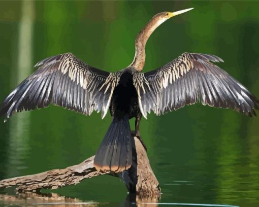 Anhinga With Wings Diamond Painting