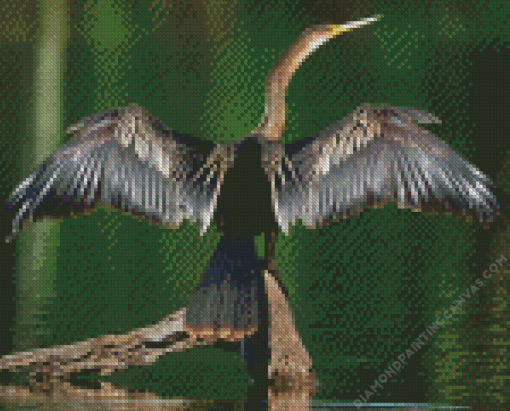 Anhinga With Wings Diamond Painting