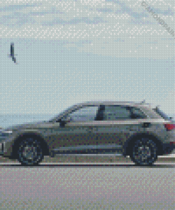 Audi And Birds Diamond Painting