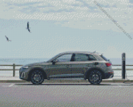 Audi And Birds Diamond Painting