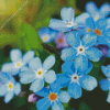 Blue Forget Me Nots Diamond Painting