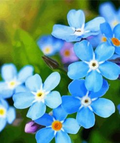 Blue Forget Me Nots Diamond Painting