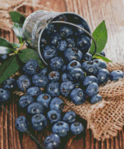 Blueberries Diamond Painting