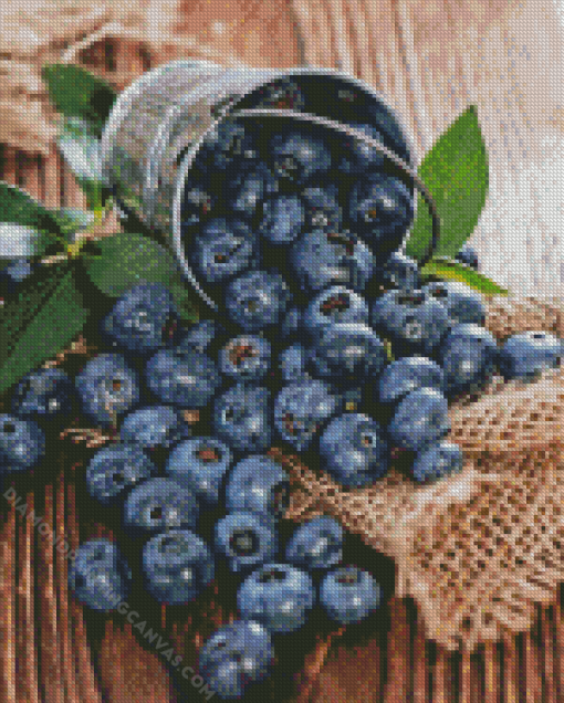 Blueberries Diamond Painting