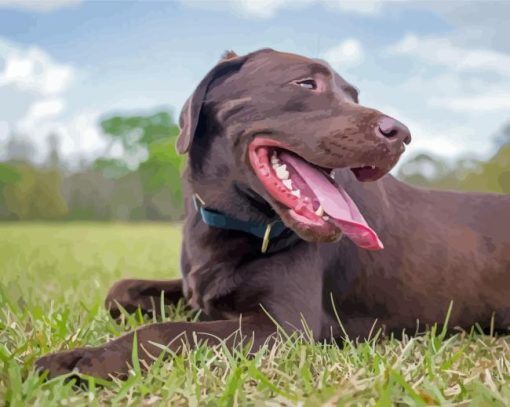 Brown Labrador Dog Diamond Painting