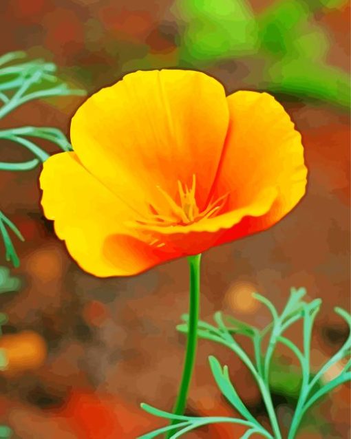 California Poppy Diamond Painting