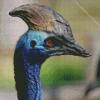 Cassowary Diamond Painting