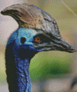 Cassowary Diamond Painting