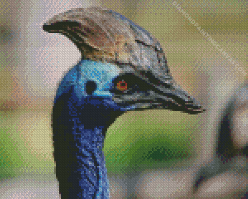 Cassowary Diamond Painting