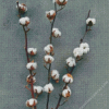 Cotton Branch Diamond Painting