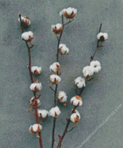 Cotton Branch Diamond Painting