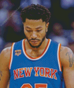 Derrick Rose Diamond Painting