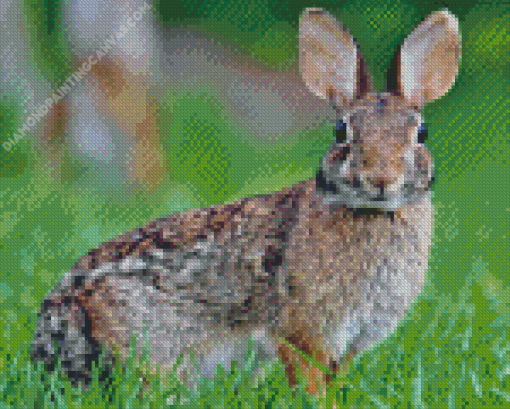 European Rabbit Diamond Painting