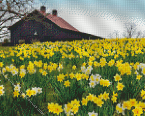 Flowers And Barn Diamond Painting