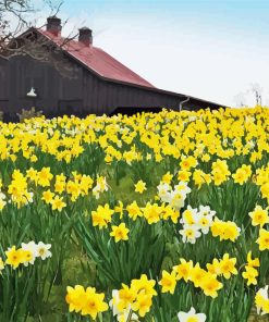 Flowers And Barn Diamond Painting