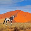 Gemsbok Diamond Painting