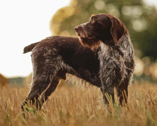 German Wirehaired Diamond Painting